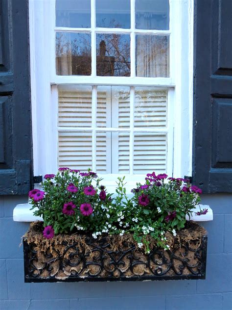 diy metal window boxes|low maintenance window box ideas.